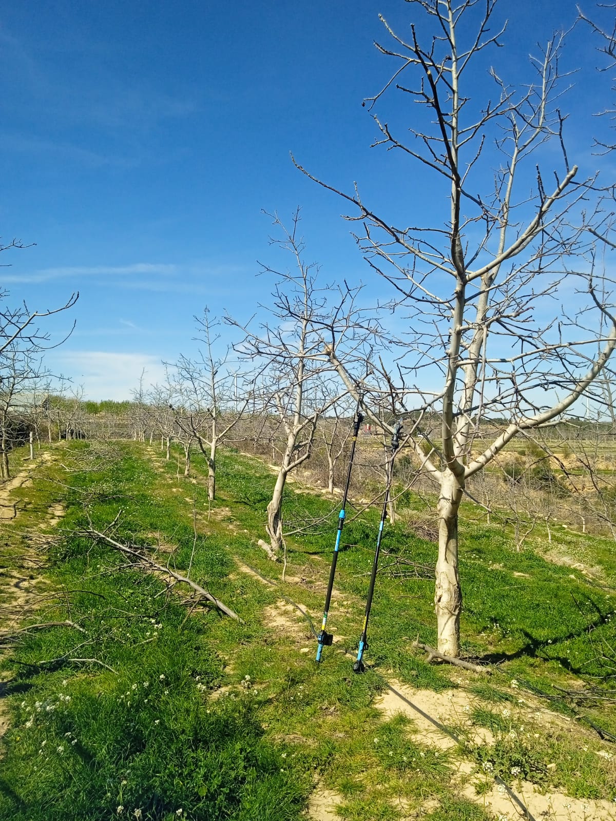 00BC9BCE4E905FE4A8F552570C006DBC