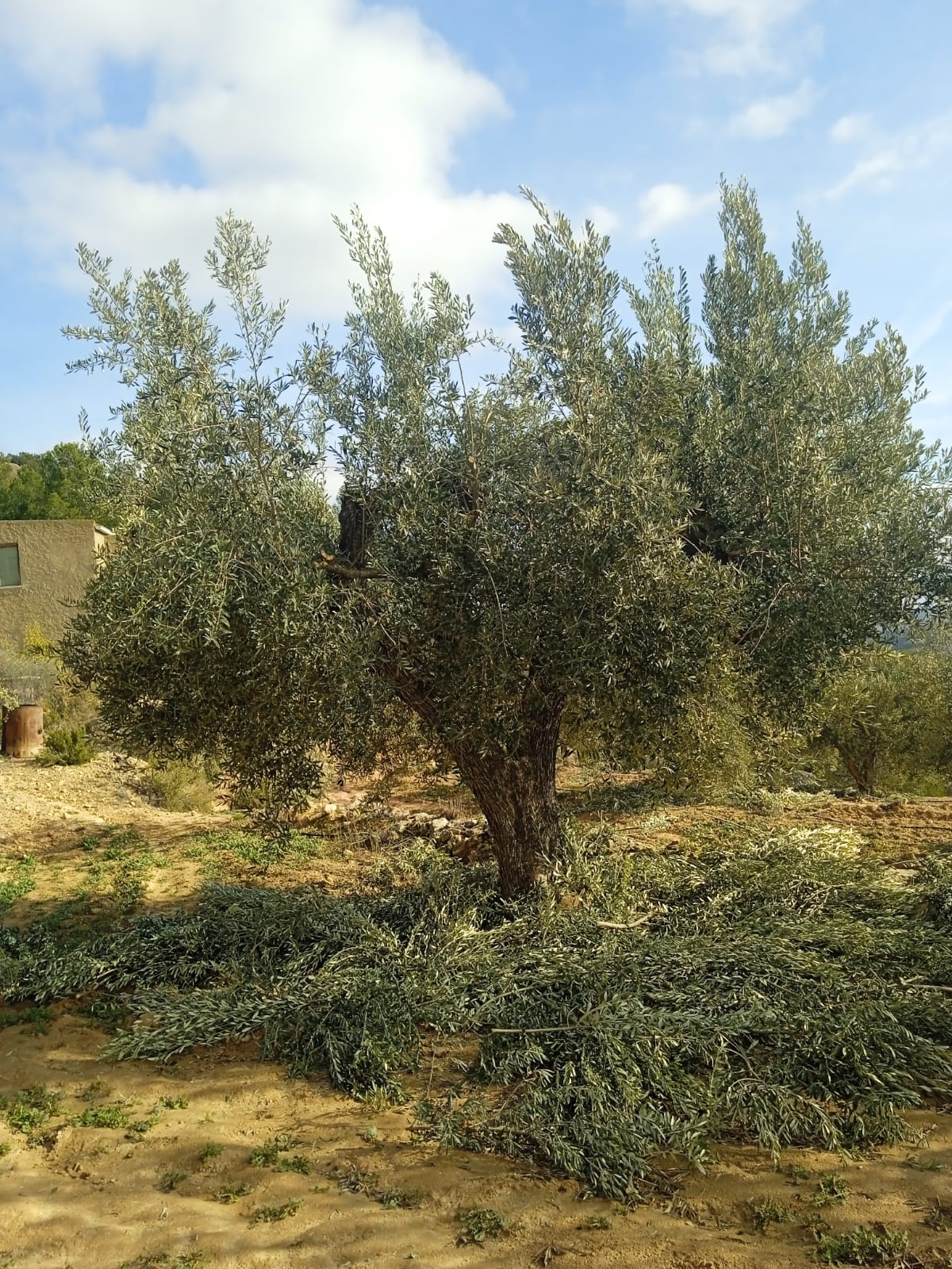 12C877D4B5A98CBAE01DCAB60E42281D