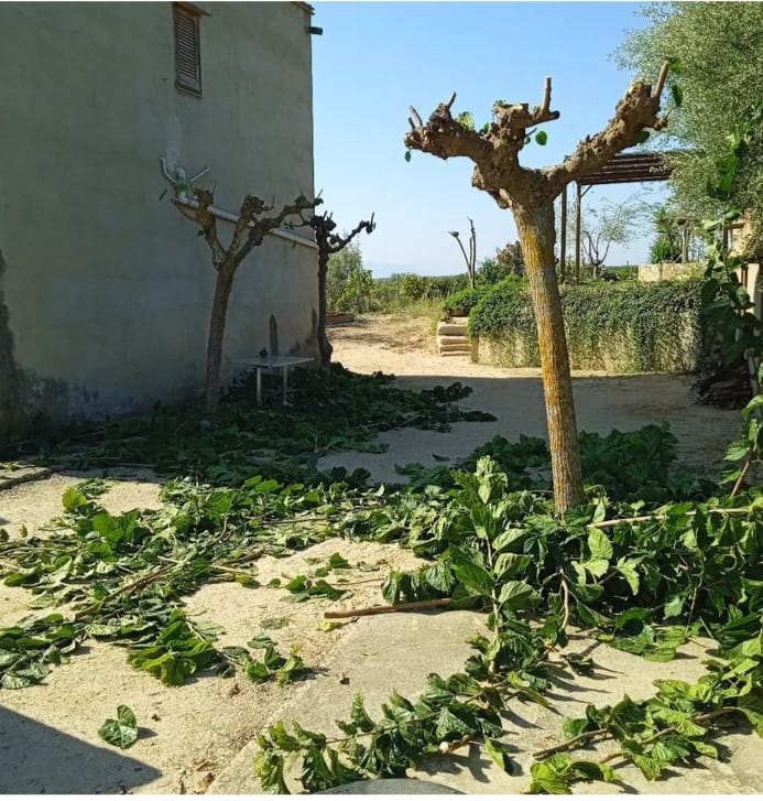 6B74BAFAD73E8C06609897DDF023F958