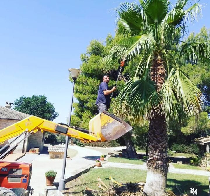 6E0547762D85F815E347D43A6E515716